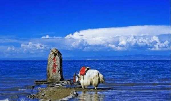 青海西藏旅游出行找哪家（青海西藏旅游出行哪家好）