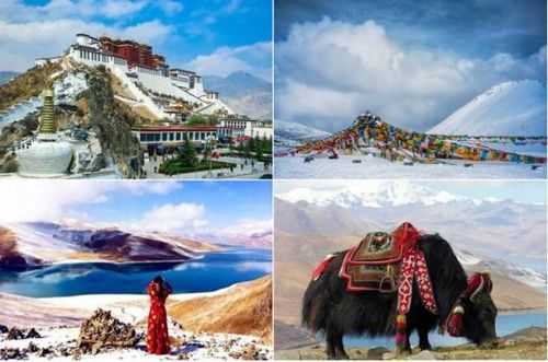 广西去西藏旅游方案最新的简单介绍